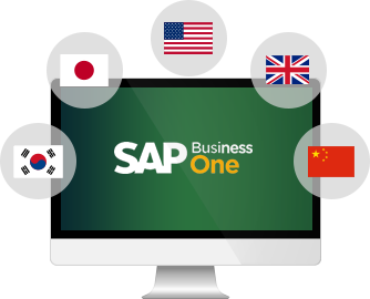 SAP Business Oneグローバル対応